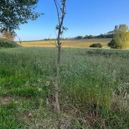 Feriehus Le Bedat Puycasquier